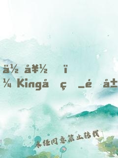 你好，King先生